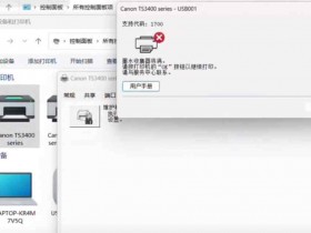 苏州园区打印机维修 上门维修佳能TS3480打印机 开机显示E08 电脑显示1700 快速解决方案